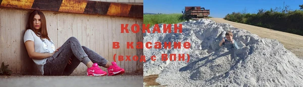 сатива Верея