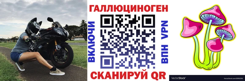 купить   Ипатово  Псилоцибиновые грибы мицелий 